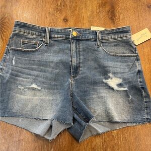 Denim Distressed Women Shorts